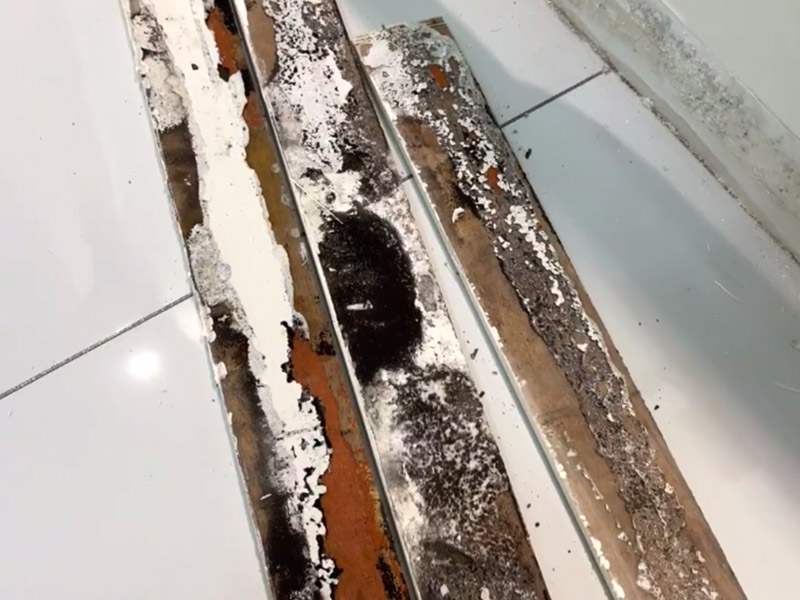 Remove Mold From Baseboards