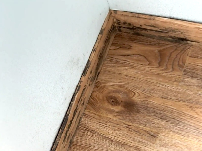 How To Remove Mold From Baseboards?