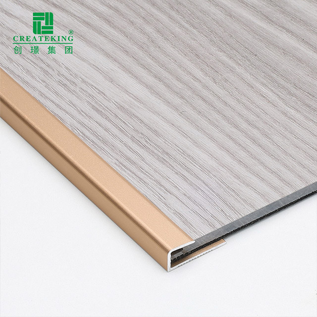 21.9x5.2mm C-shape Floor Edge Strip 