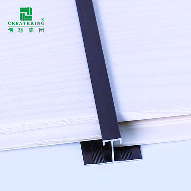 Aluminum Alloy Floor Edge Strips