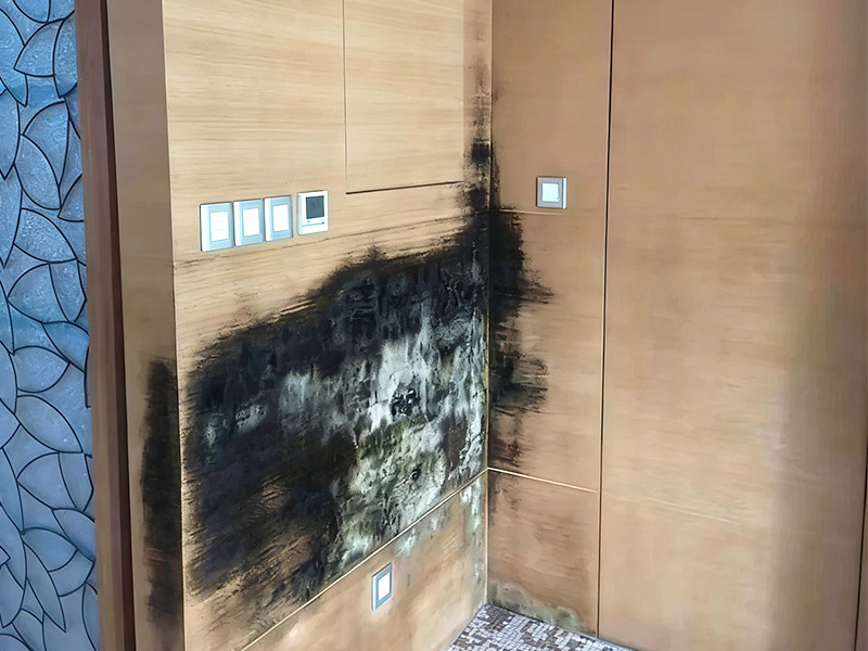 wall panels cause mold
