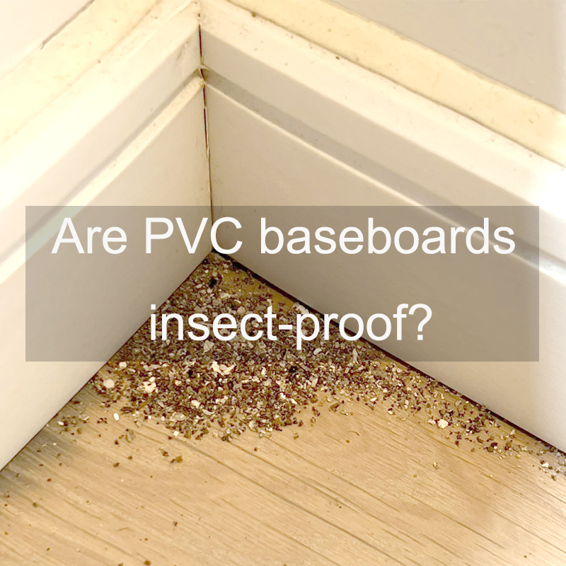 Are PVC Baseboards Insect-proof?