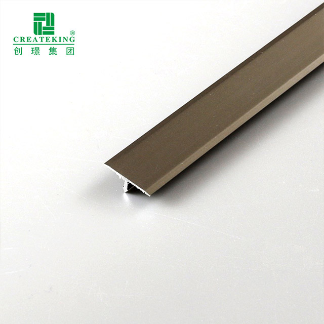 T Molding Transition Strip