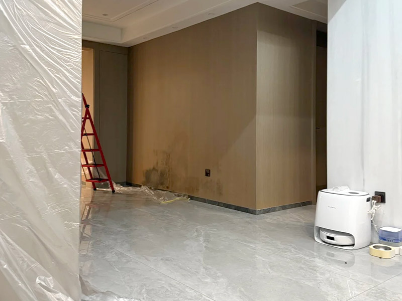 wall panels cause mold