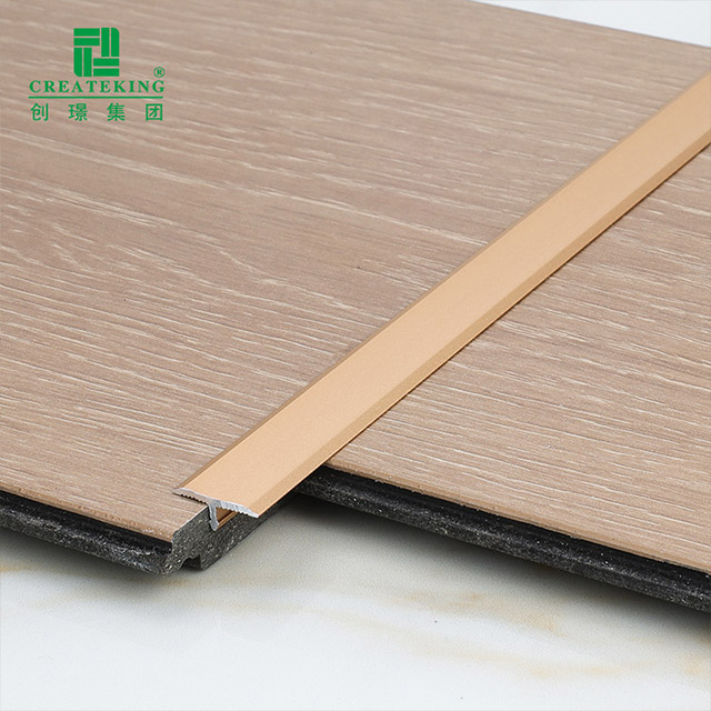 T Molding Transition Strip