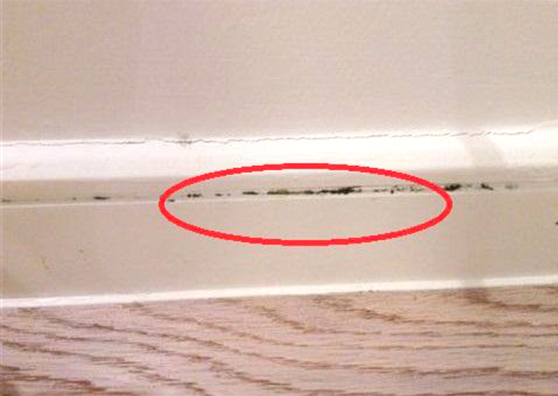 Can PVC Baseboards Be Mildew-proof?