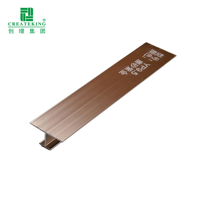 Aluminum Alloy Floor Edge Strips