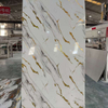 PET Film Laminated PVC Wall Panel for Interior Home Decoration